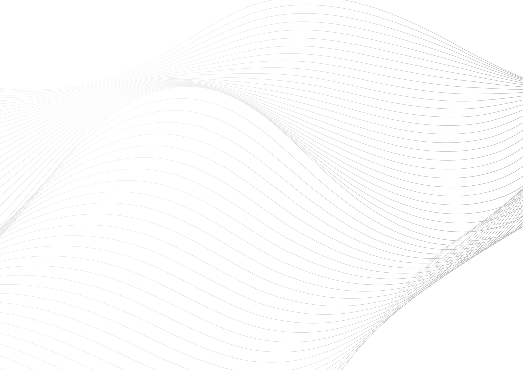 Web Site Tasarımcısı, Arapgir